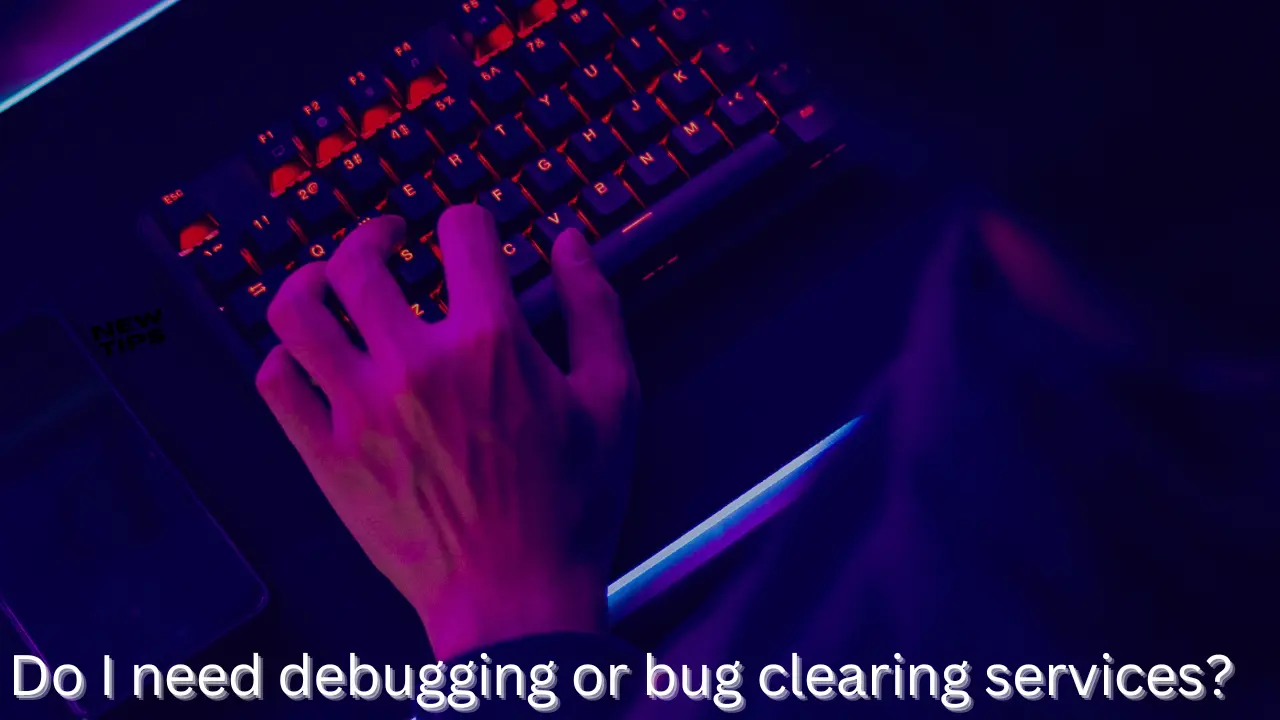 Do I need debugging or bug clearing services?